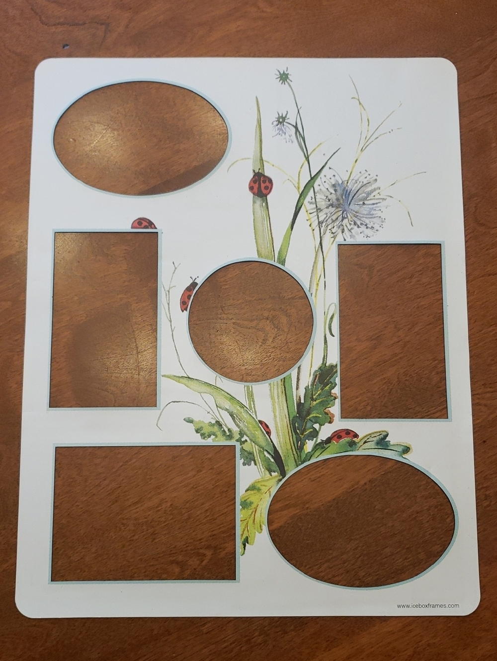 Magnectic Collage Photo Frame With Ladybug Theme - Holds 5 Photos